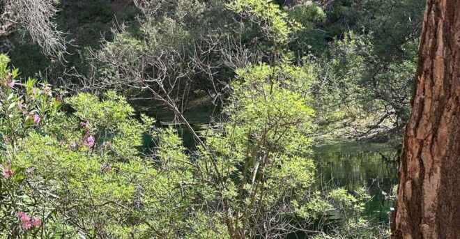 BUTTERFLY VALLEY - Unique Features and Attractions