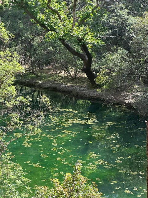 BUTTERFLY VALLEY - Accessibility Information