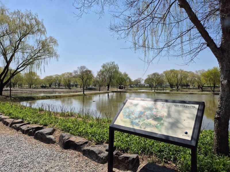 Buyeo Baekje Kingdom One Day Tour - Should you book the Buyeo Baekje tour?