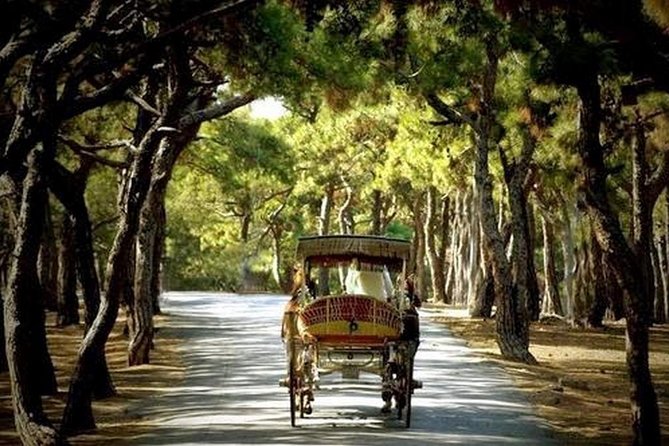 Buyukada Princes' Island Guided Day Tour With Lunch From Istanbul - The Sum Up