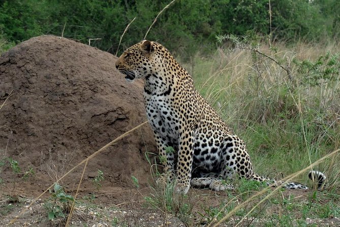 Bwindi Impenetrable Kenya Tanzania Gorilla Safari 14 Days 13 Nights - Accommodation Details