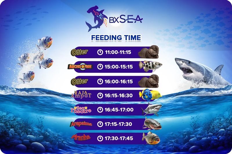 BXSea Ticket in Jakarta - Rainforest, mangrove and freshwater stops