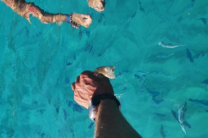 By Boat Between the Sea and the Most Beautiful Beaches! Capo Vaticano - Tropea - Briatico - The Beauty of the Sea: Snorkeling and Diving