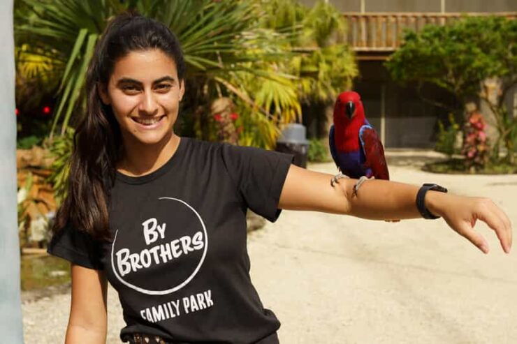 By Brothers: Family Adventure, Attractions, Animals & More - Good To Know