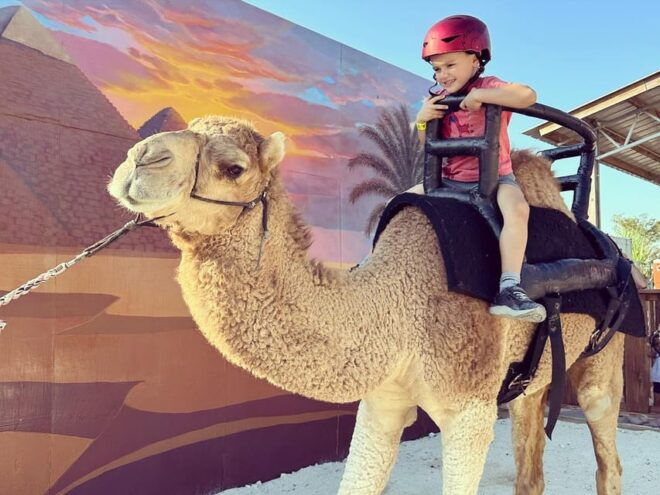 By Brothers: Family Adventure, Attractions, Animals & More - Location and Meeting Point