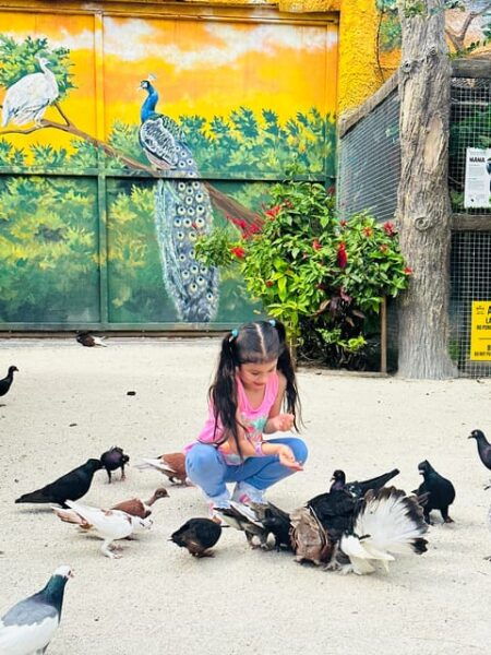 By Brothers: Family Adventure, Attractions, Animals & More - Plan Your Visit