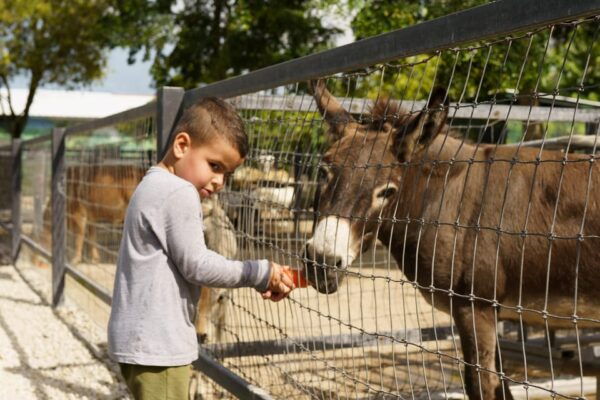 By Brothers: Family Adventure, Attractions, Animals & More - Frequently Asked Questions