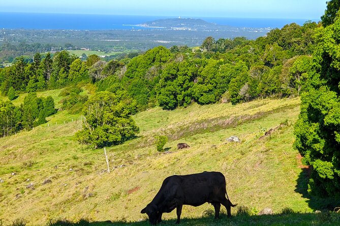 Byron Bay and Bangalow From Gold Coast - Where to Stay in Byron Bay and Bangalow
