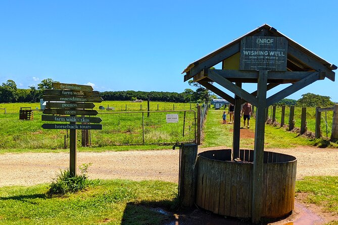 Byron Bay, Bangalow and Gold Coast Day Tour From Brisbane - Pricing and Booking