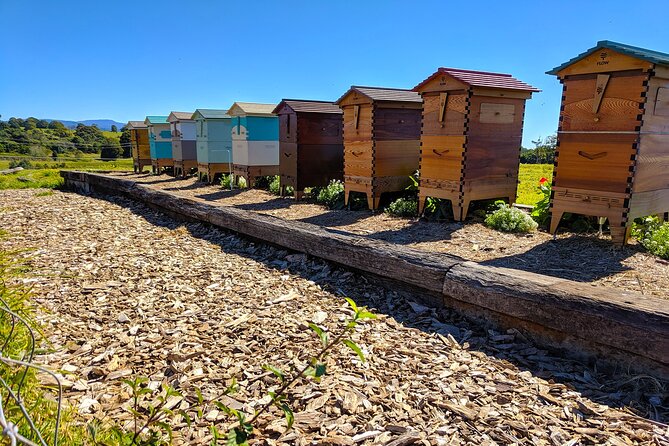 Byron Bay, Bangalow and Gold Coast Day Tour From Brisbane - The Sum Up