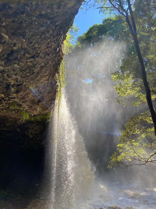 Byron Bay: Behind The Bay Waterfalls & Hidden Gems Day Tour - Final Thoughts: Who Should Book This Tour?