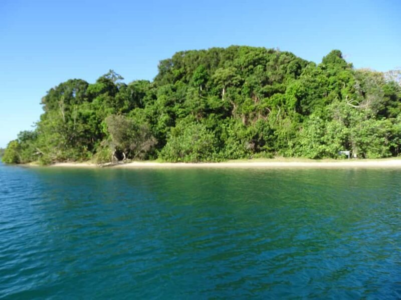 Byron Bay: Brunswick River Eco-Cruise with Brunch - The Vessel: M.V. Jasmine
