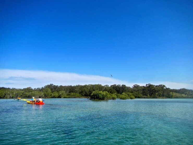 Byron Bay: Brunswick River Scenic Kayak Tour - Live Tour Guide and Cancellation Policy