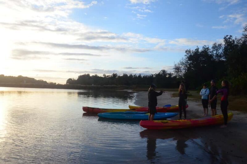 Byron Bay: Brunswick River Sunset Kayak Tour - Why This Tour Offers Good Value