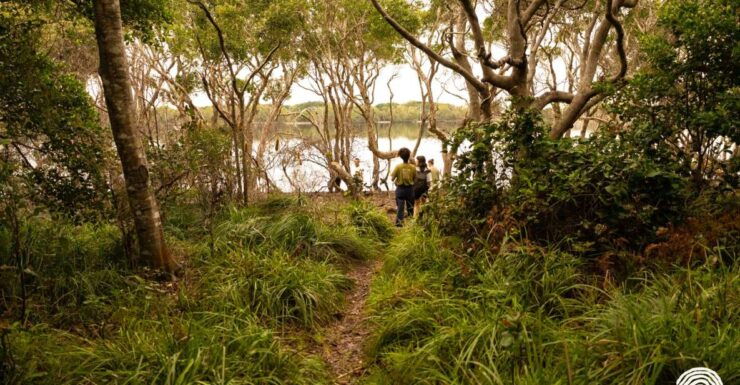 Byron Bay: Coastal Nature Full-Day Tour - Nature Exploration Highlights