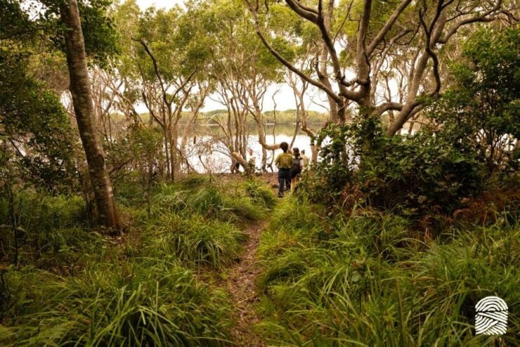 Byron Bay: Coastal Nature Half-Day Tour - Tour Highlights
