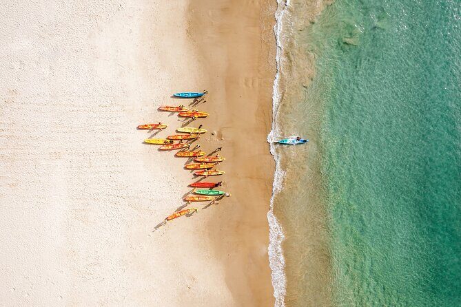 Byron Bay Discovery Day from Gold Coast - Who Should Consider This Tour?