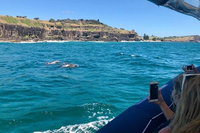Byron Bay Dolphin Tour - Ocean Safari - Additional Information