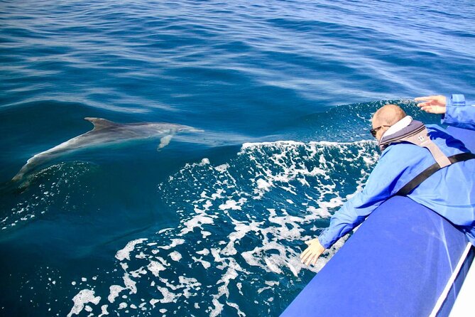 Byron Bay Dolphin Tour - Ocean Safari - Directions
