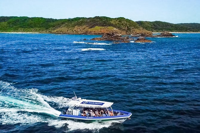 Byron Bay Dolphin Tour - Ocean Safari - Common Questions