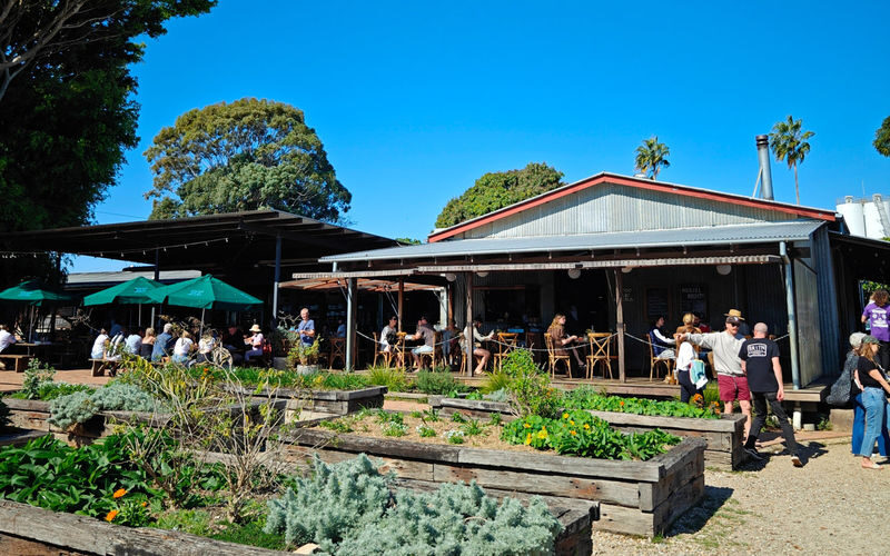 Byron Bay Farm, Solar Train & Lighthouse Day Tour - Byron Bay town time: lunch competes with looking around