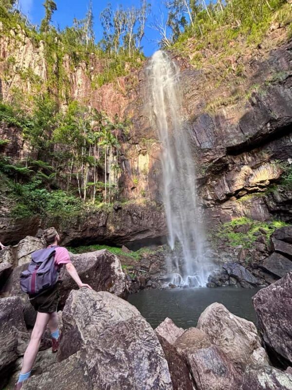 Byron Bay: Glowworms, Waterfalls & Rainforest Experience - Exploring the Itinerary in Detail  