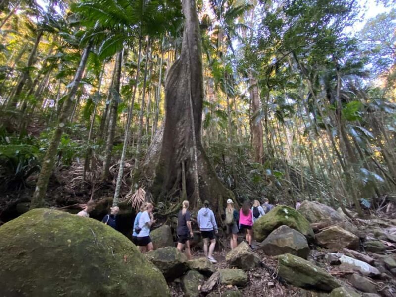 Byron Bay: Glowworms, Waterfalls & Rainforest Experience - Frequently Asked Questions (FAQs)  