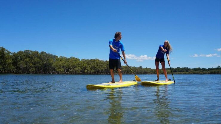 Byron Bay: Group 2.5 Hour Stand-Up Paddle Board Tour - Experience Highlights
