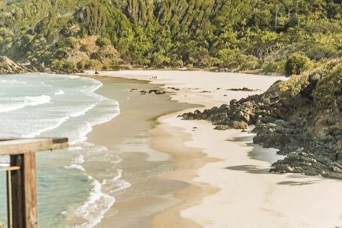 Byron Bay Hidden Beach, Waterfall, and Bushwalk Half-Day Tour - Traveler Photos and Reviews