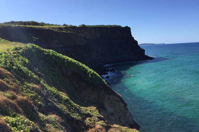 Byron Bay Hidden Beach, Waterfall, and Bushwalk Half-Day Tour - Viator Help Center and Product Code