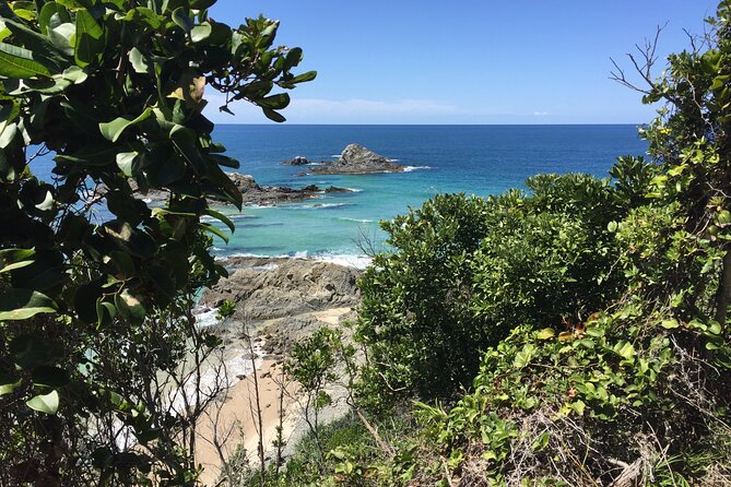 Byron Bay Hidden Beach, Waterfall, and Bushwalk Half-Day Tour - Bushwalk Through Broken Head Nature Reserve