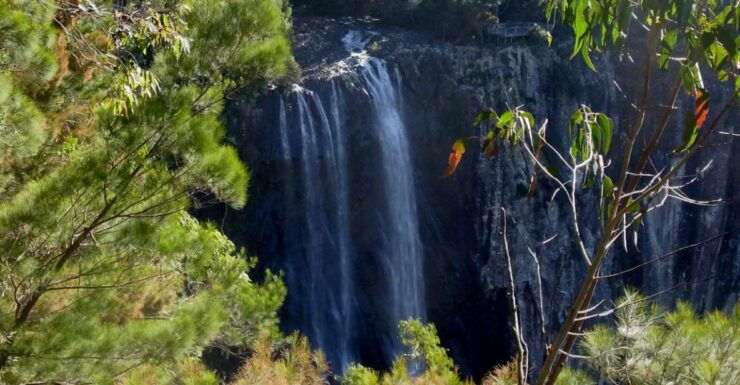 Byron Bay Hinterland: National Park and Waterfalls Tour - Activity Information