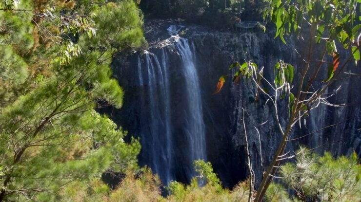 Byron Bay Hinterland: National Park and Waterfalls Tour - Experience Highlights