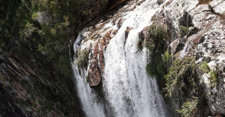 Byron Bay: Minyon Falls Half-Day Walking Tour - Booking Details