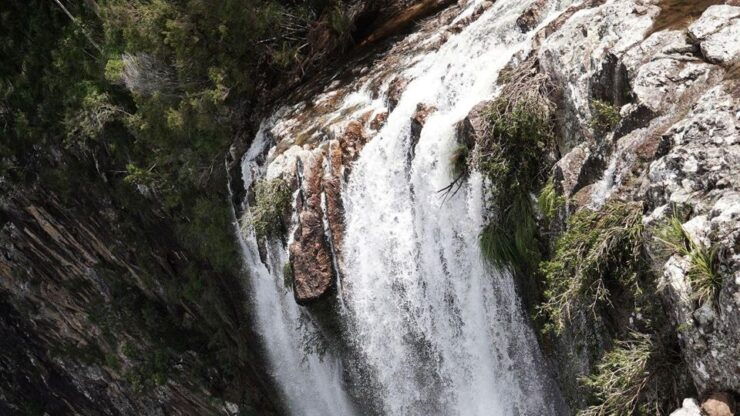 Byron Bay: Minyon Falls Half-Day Walking Tour - Experience Highlights