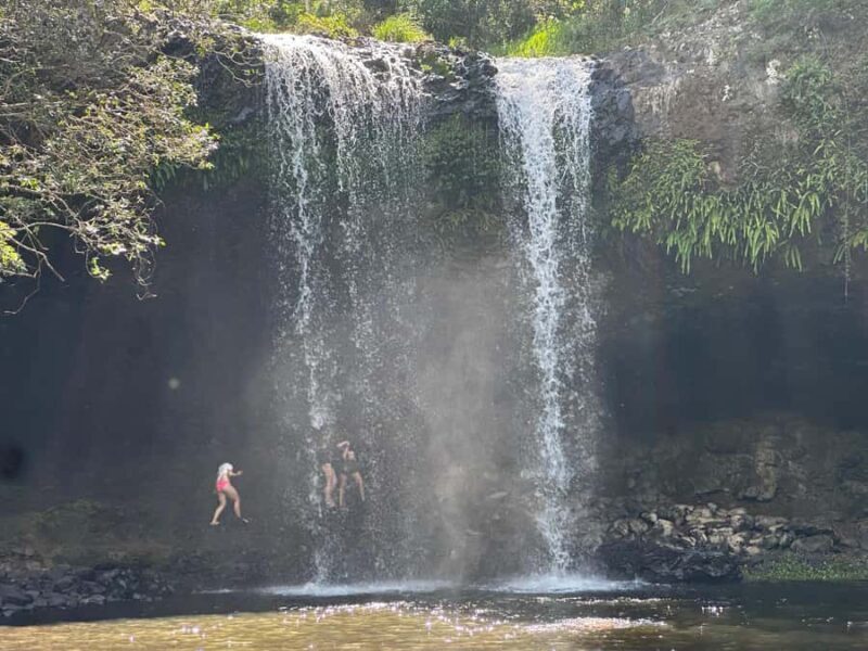 Byron Bay: Rainforest Waterfalls Guided Eco Tour - What Makes This Tour Stand Out?