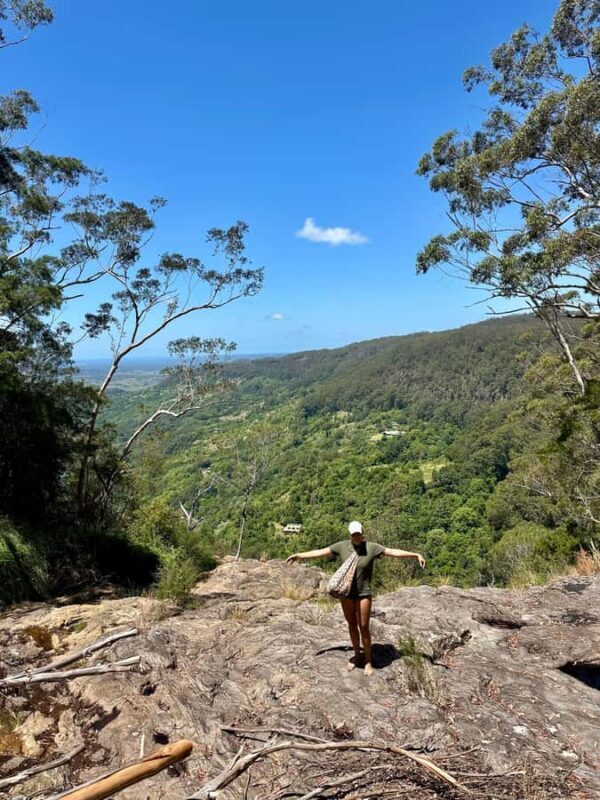 Byron Bay: Rainforest Waterfalls Guided Eco Tour - Who Should Consider This Tour?