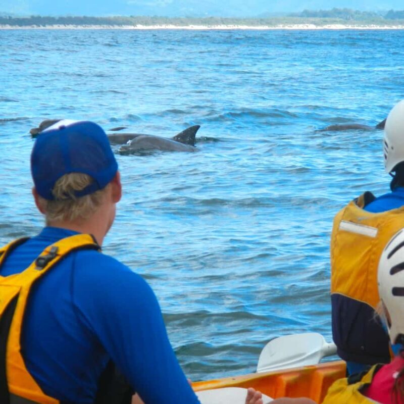 Byron Bay: The Byron Bay Sea Kayak Tour - An Overview of the Byron Bay Sea Kayak Experience