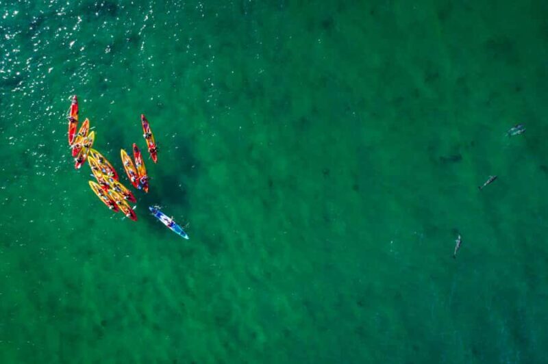 Byron Bay: The Byron Bay Sea Kayak Tour - FAQ