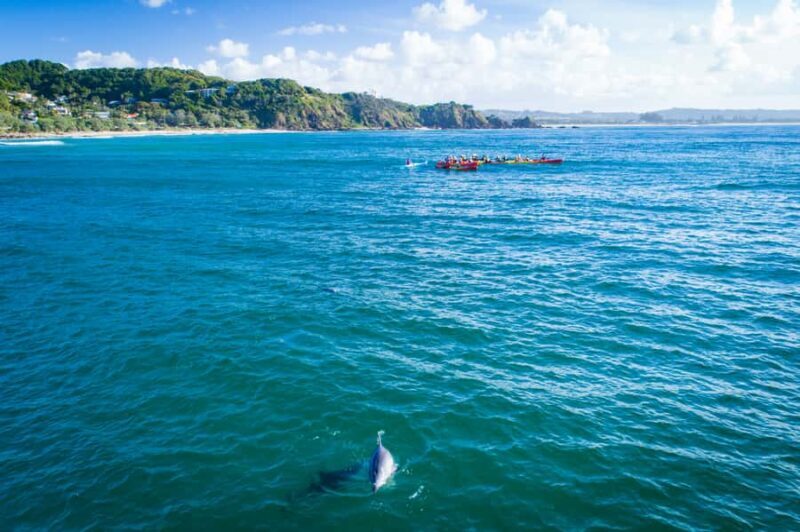 Byron Bay: The Byron Bay Sea Kayak Tour - Final Word