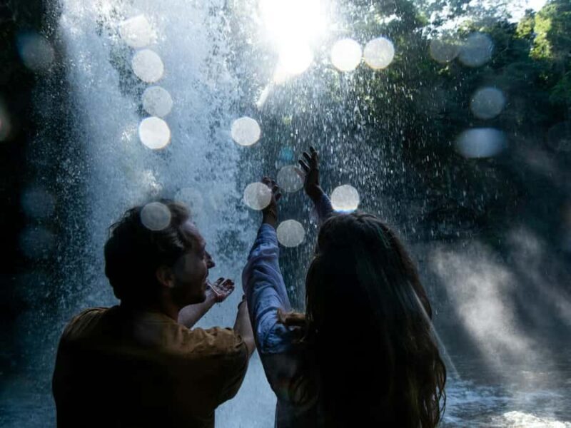 Byron Bay: Wildlife and Waterfall Tour with Breakfast - What You Can Expect from Your Experience  