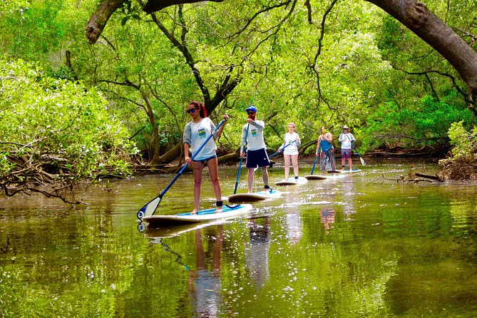 Byron Stand Up Paddle Nature Tour - Activity Details