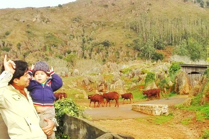 Cabarceno Natural Park Visit - Traveler Photos and Reviews