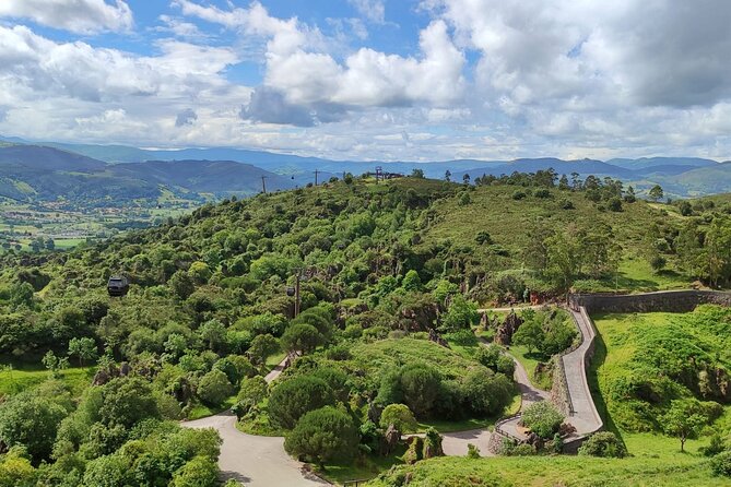 Cabarceno Natural Park Visit - Hotel Pickup and Meeting Point Options