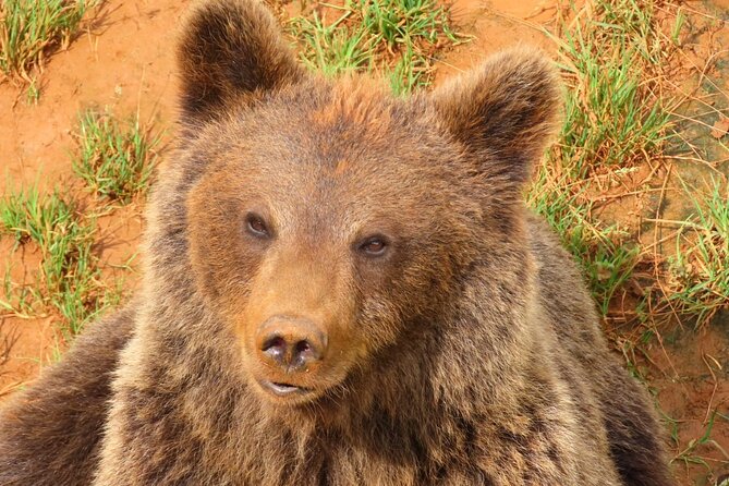 Cabarceno Natural Park Visit - Additional Information and Contact Details