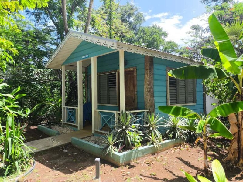 Cabarete: El Choco National Park Caves Tour with Pickup - Good To Know