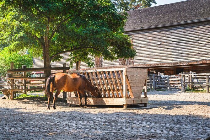 Cabbagetown In Colour: A Walking Tour of Toronto - FAQ