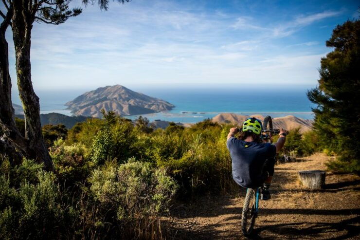 Cable Bay Adventure Park: E-Bike Hire - Experience Details