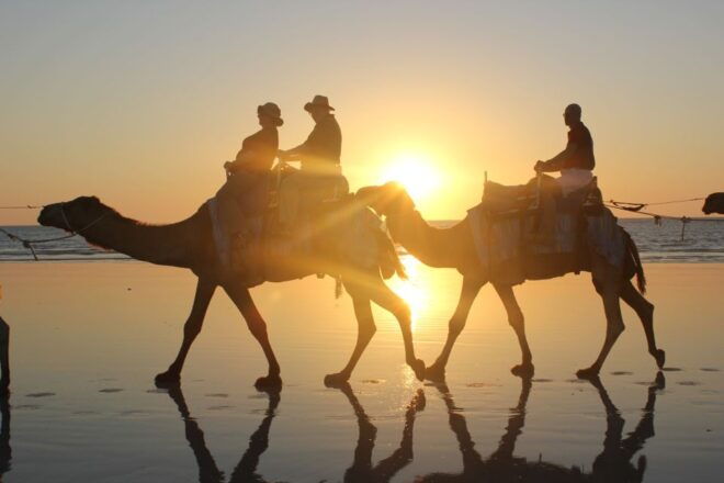 Cable Beach: 1-Hour Sunset Camel Ride - Inclusions and Services