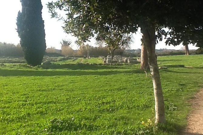 Cable Car Adventure Monte Faito With Local Guide and Driver - Booking Information